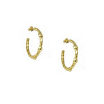Ashiana Mini Cruise Earrings