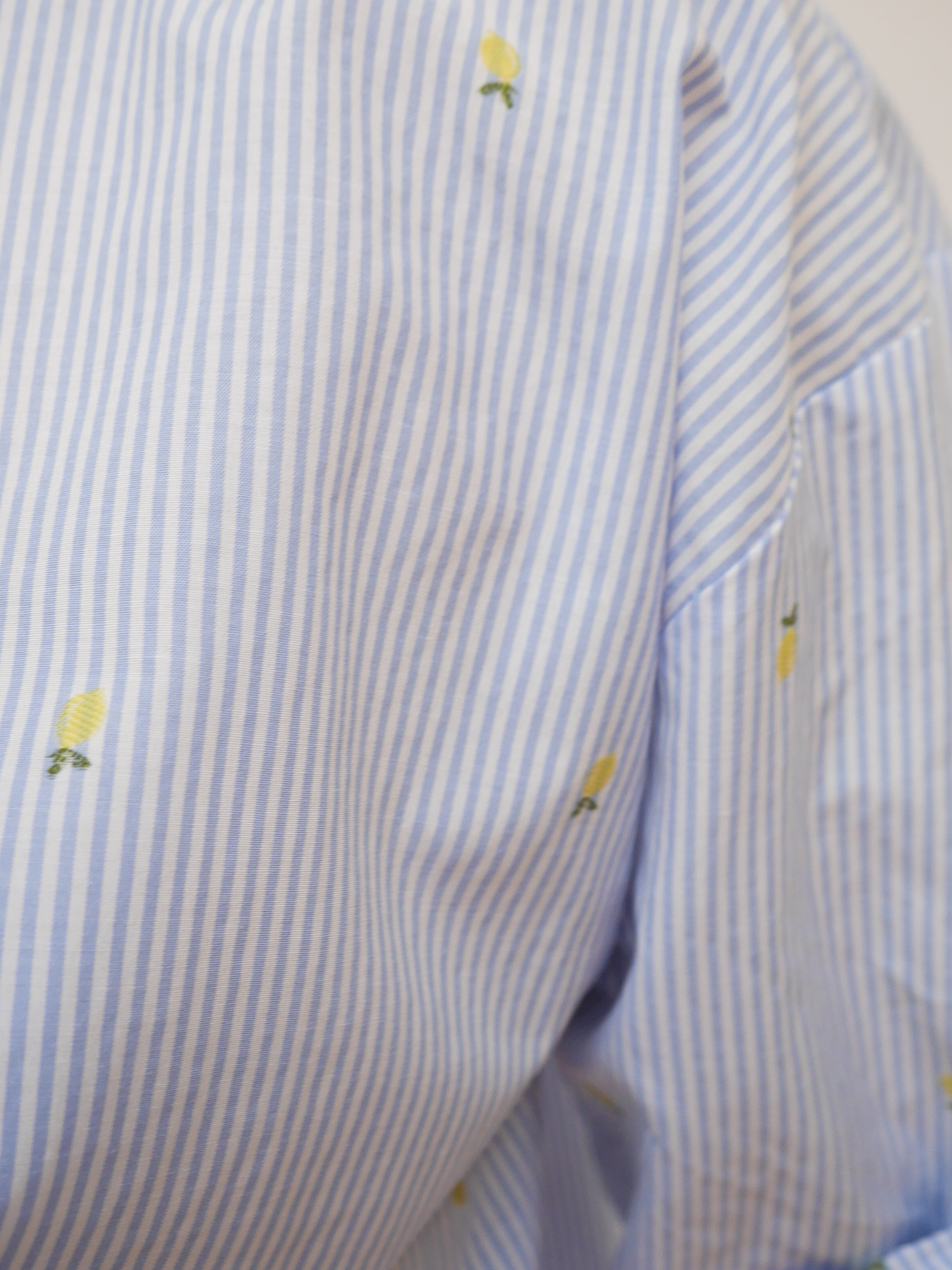 Josie Stripe Shirt Blue & White