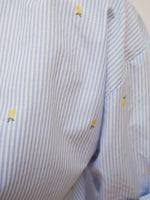 Josie Stripe Shirt Blue & White