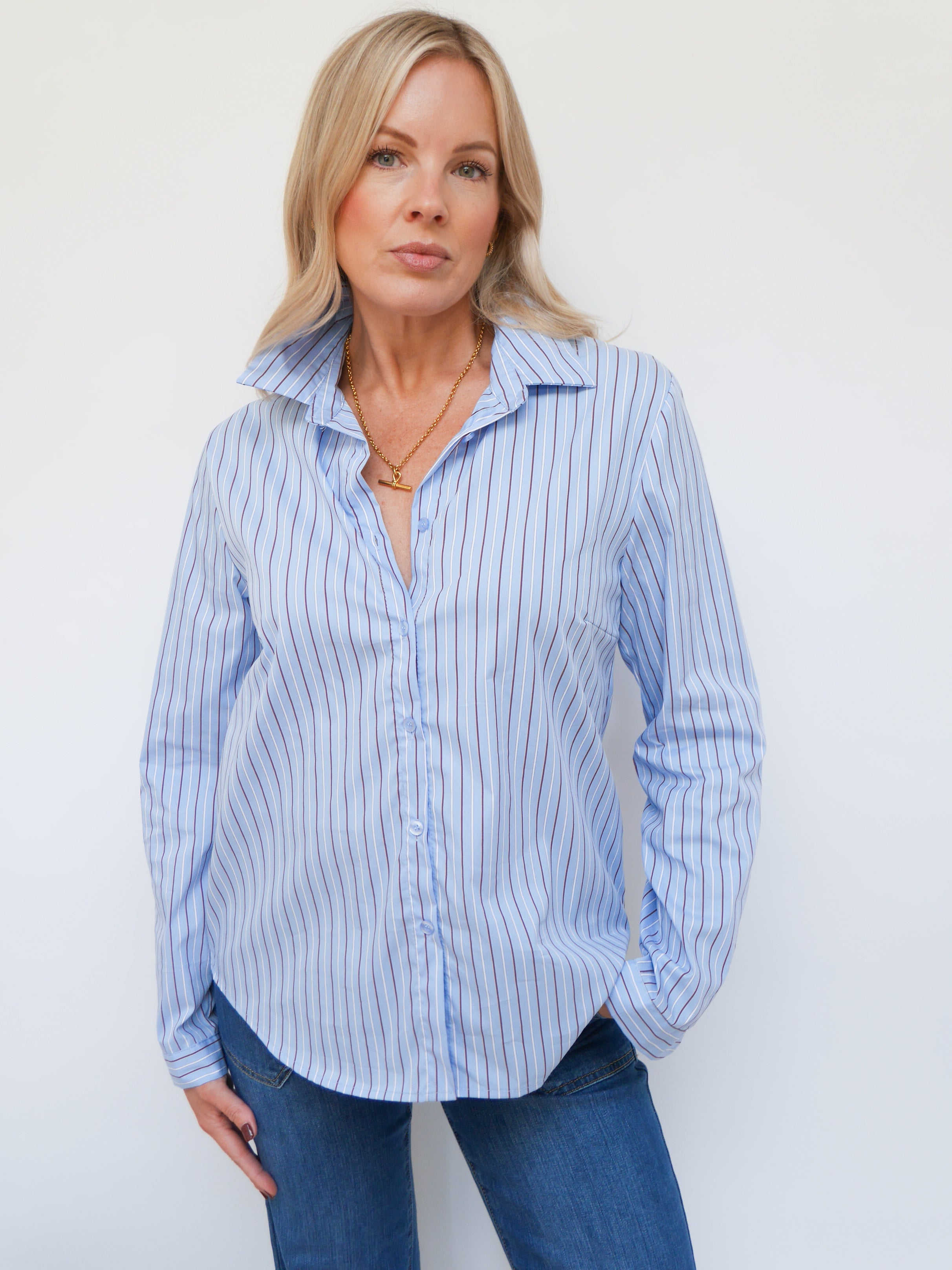 Harper Stripe Shirt Blue & Brown