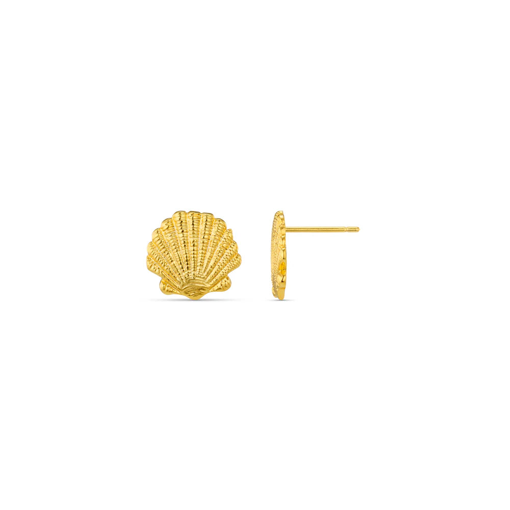 Orelia Shell Stud Earrings