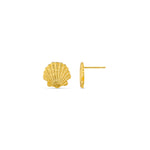Orelia Shell Stud Earrings