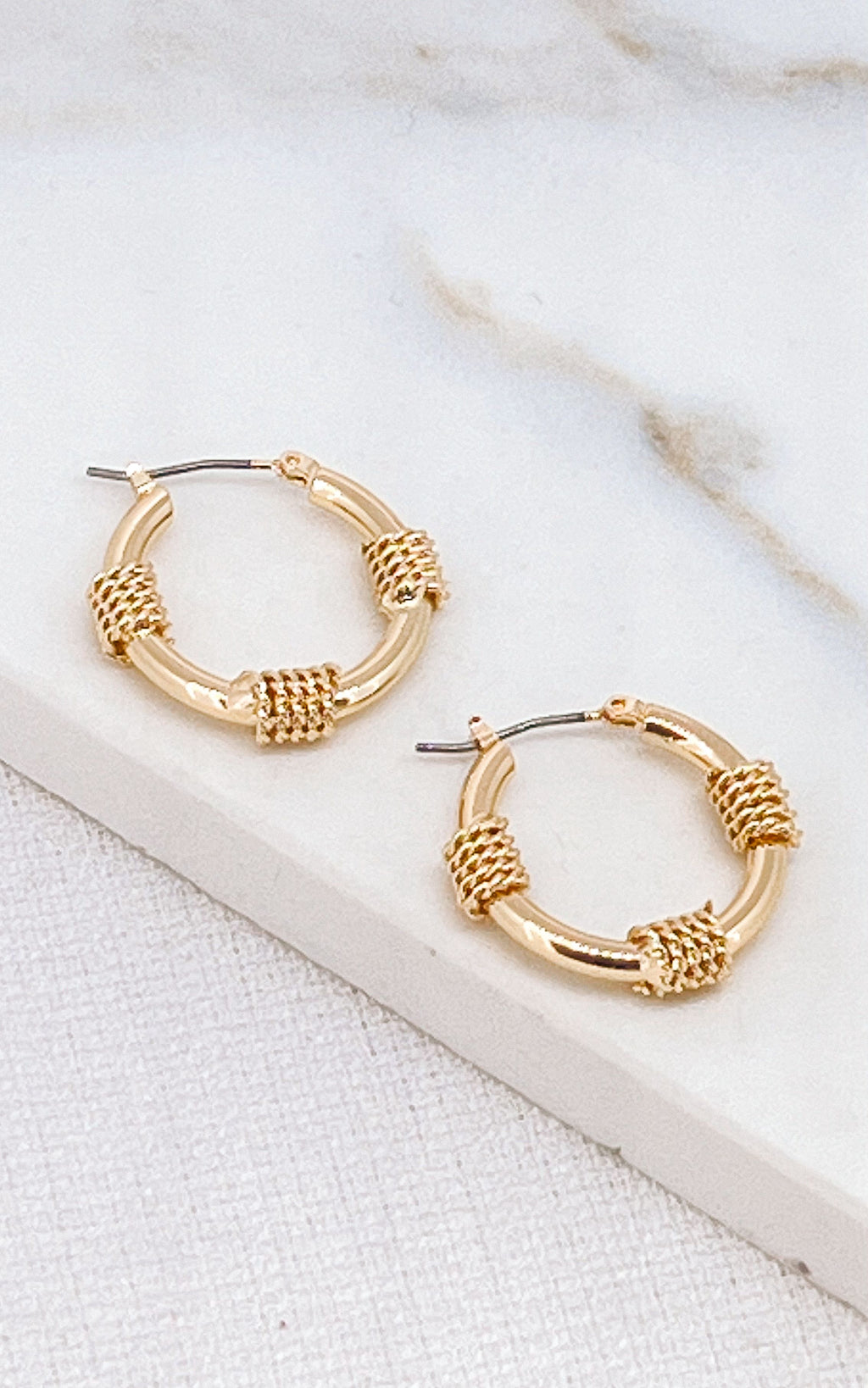 Envy Gold Circle Hoop Earrings