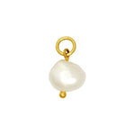 Ashiana Aliz Gold Pearl