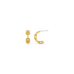 Orelia Chain Small Hoops