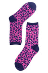 Hot Pink Navy Blue Leopard Print Socks